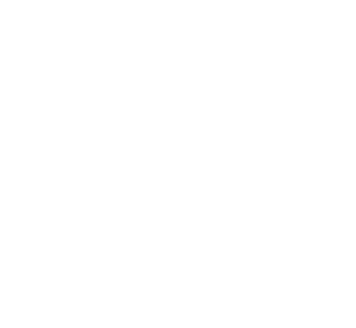 Partner logo 3